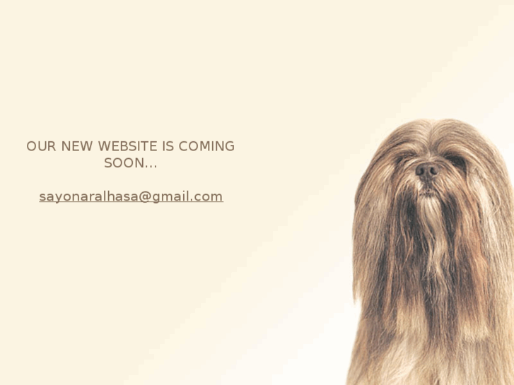 www.sayonara-lhasa.com