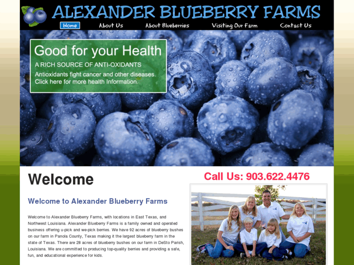 www.alexanderblueberryfarms.com