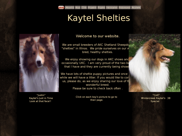 www.kaytelshelties.com