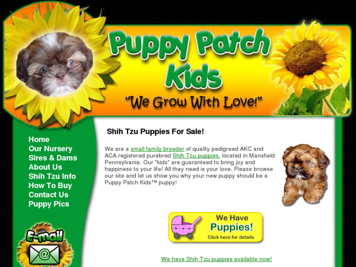 www.puppypatchkids.com