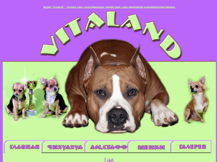 www.vitalanddog.ru