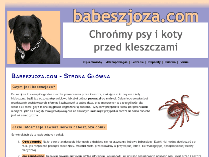 www.babeszjoza.com