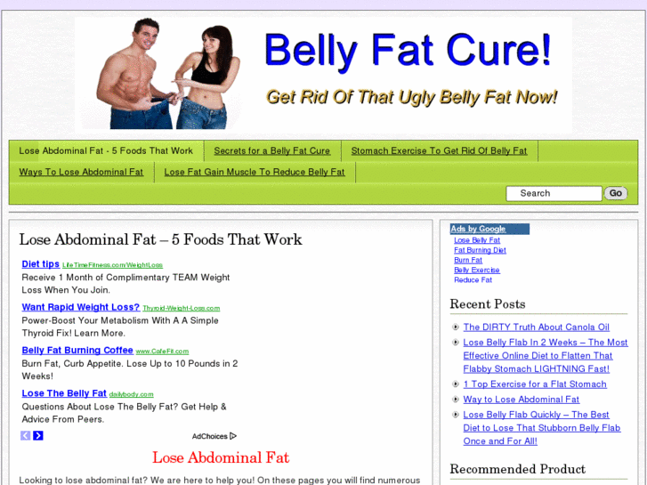 www.bellyfatcurenow.com