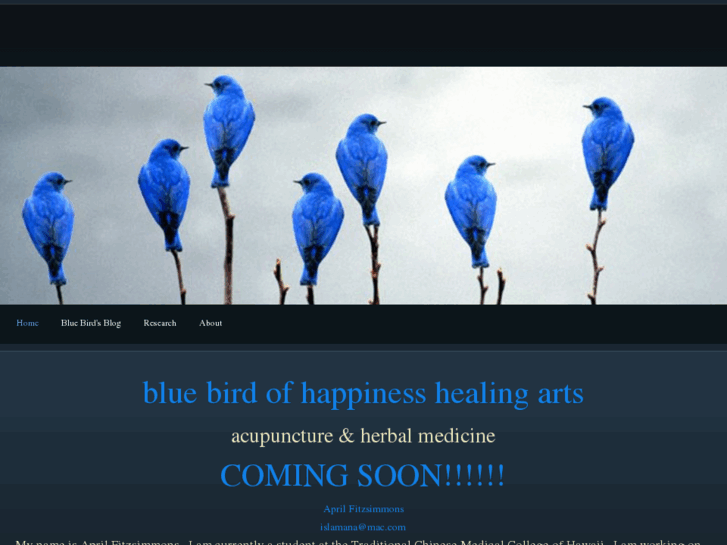 www.bluebirdhealingarts.com