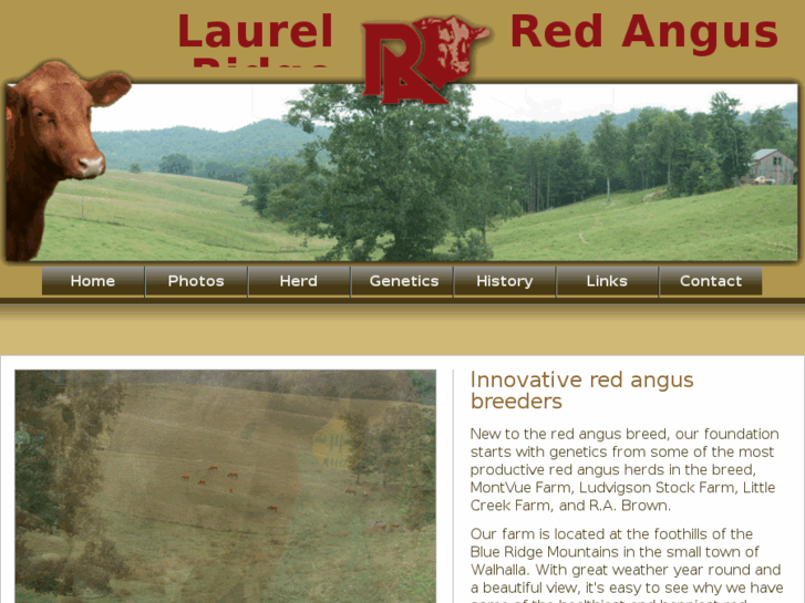 www.laurelridgeredangus.com