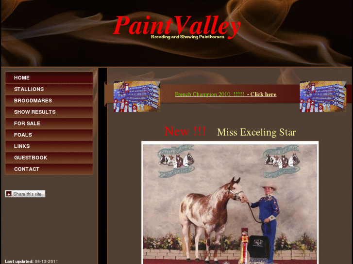 www.paintvalley.net