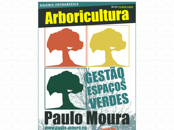 www.paulo-moura.eu