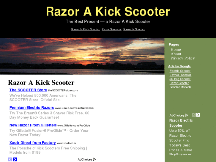 www.razorakickscooter.org