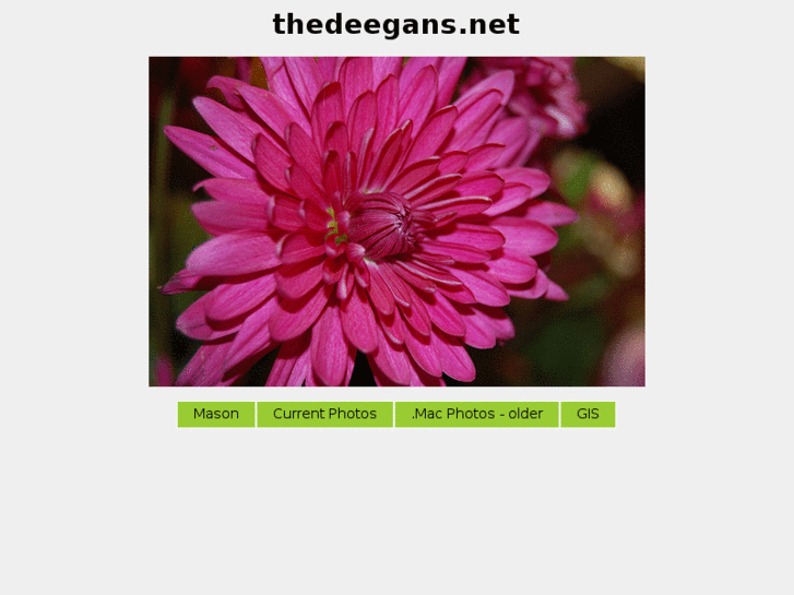 www.thedeegans.net