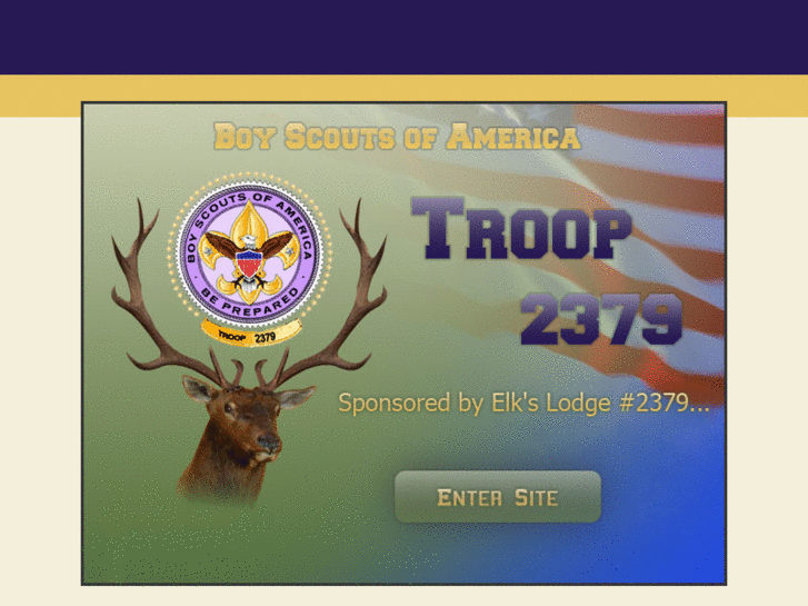 www.troop2379.com