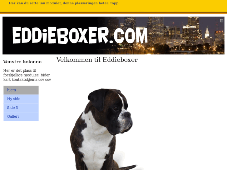 www.eddieboxer.com