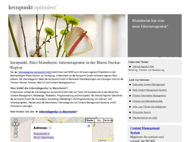 www.internetagentur-in-mannheim.de