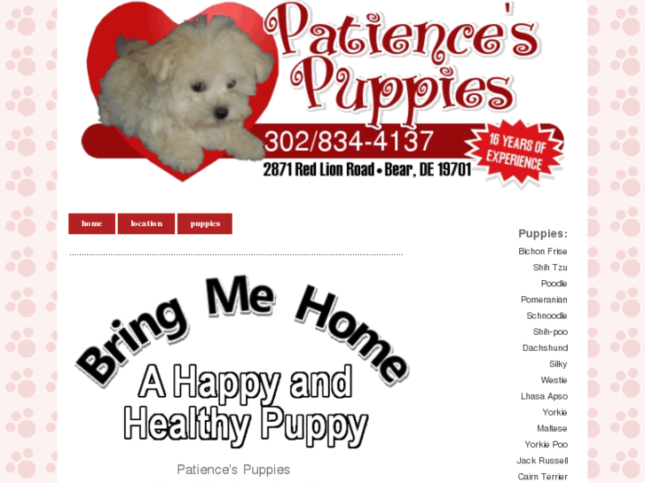 www.patiencespuppies.com