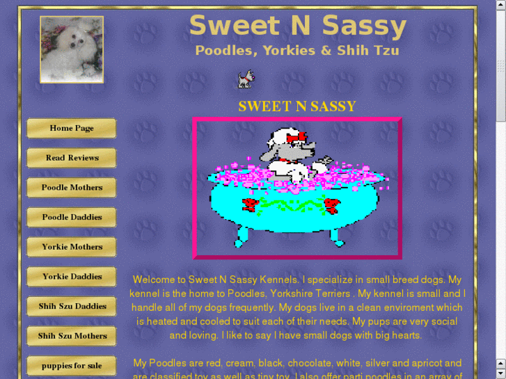 www.sweetnsassykennels.com