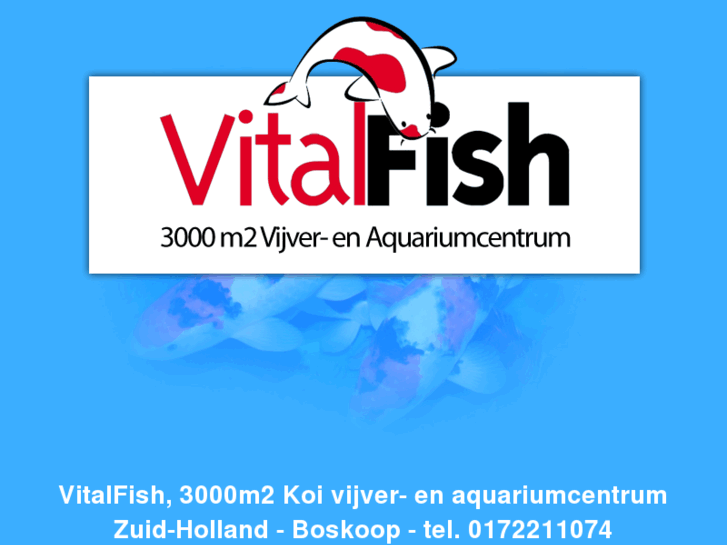 www.vitalfish.com