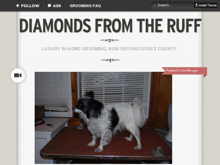 www.diamondsfromtheruff.com