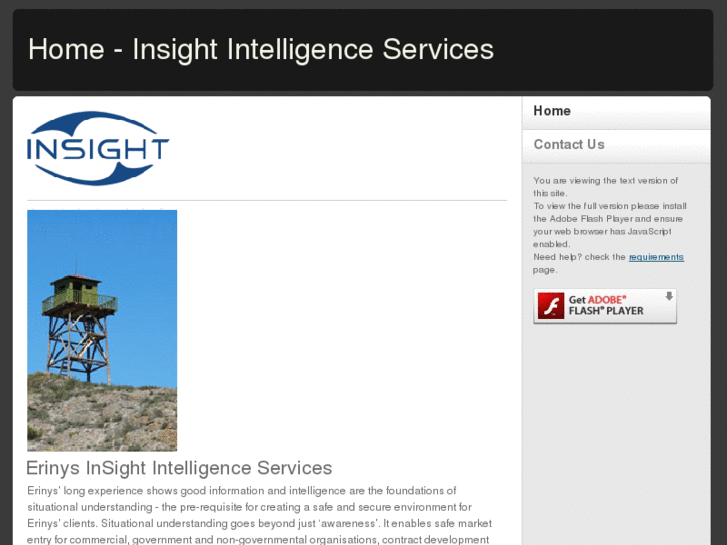 www.insight-intelligence-services.com