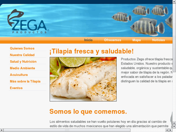 www.latilapia.com