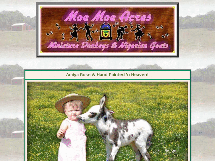 www.moemoeacres.com