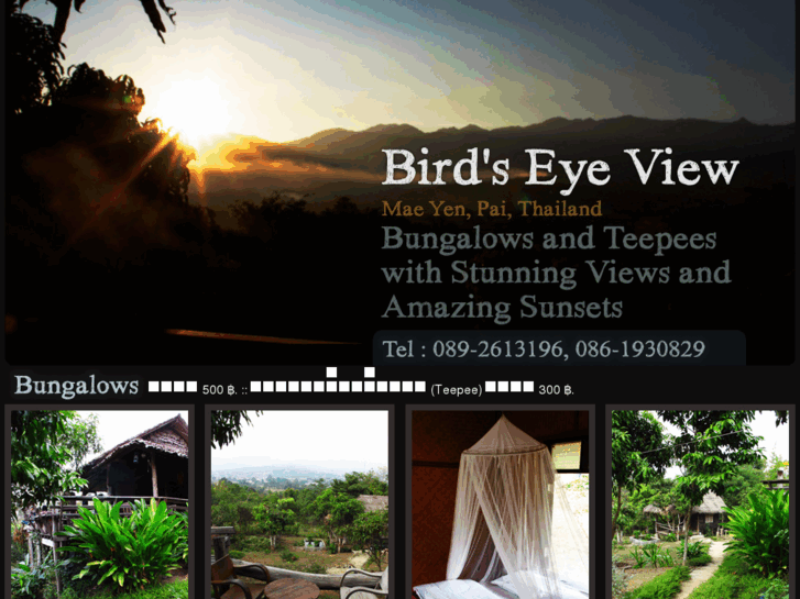 www.paibirdseyeview.com