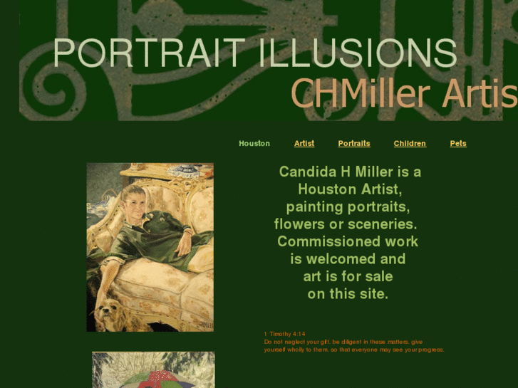 www.portraitillusionschmiller.com