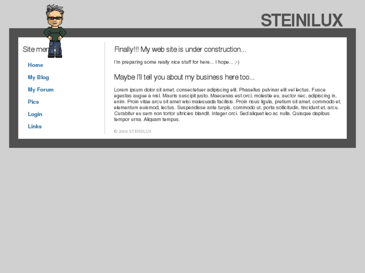 www.steinilux.com