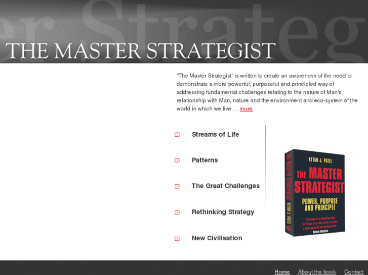 www.themasterstrategist.com