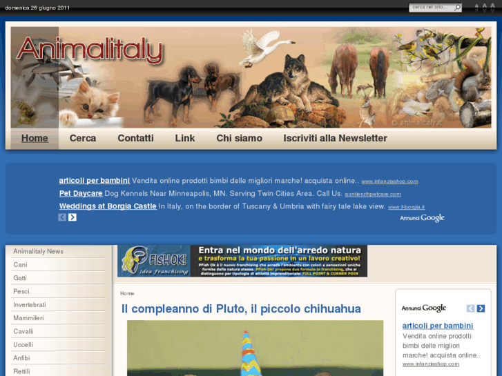 www.animalitaly.it