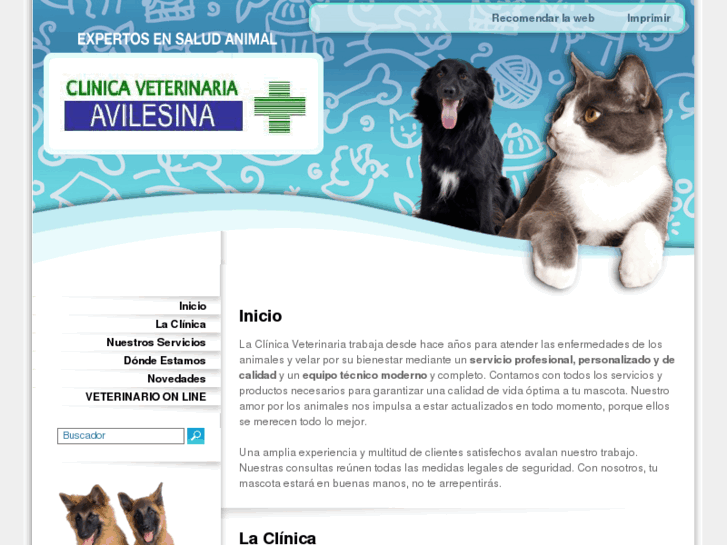 www.c-veterinariavilesina.es