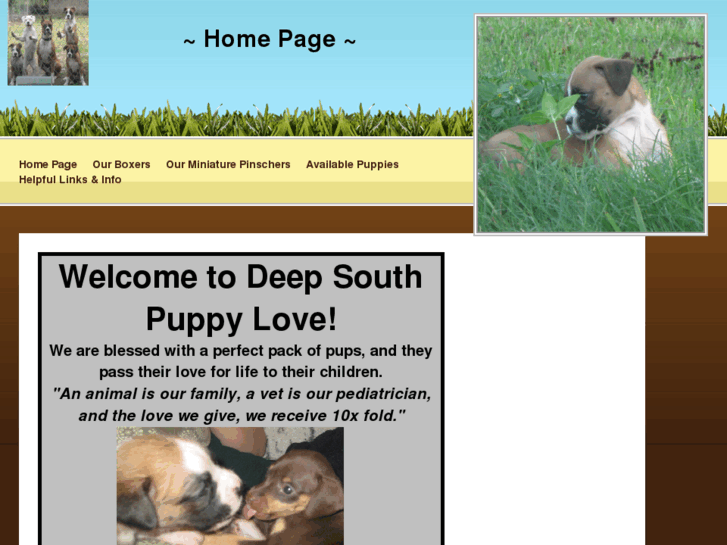 www.deepsouthpuppylove.com