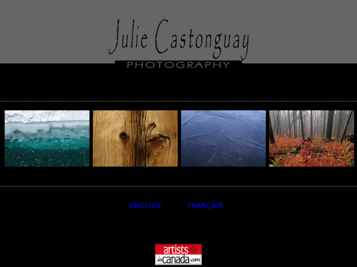 www.juliecastonguay.com