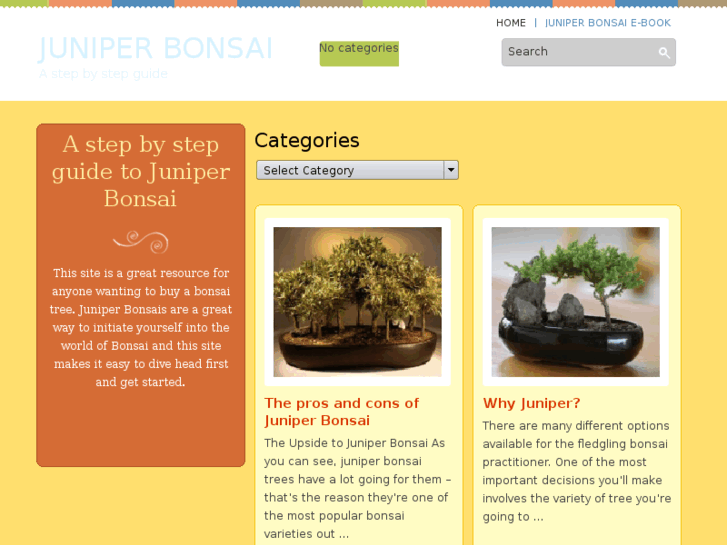 www.juniperbonsaitree.com