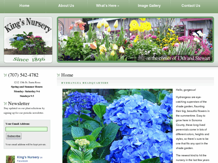 www.kingsflowernursery.com