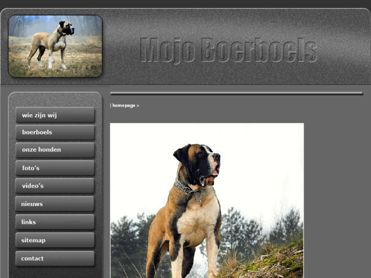 www.mojoboerboels.com