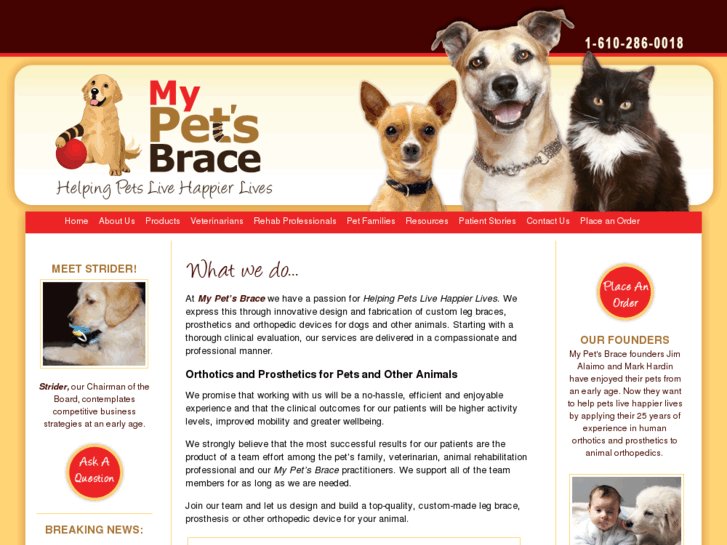 www.mypetsbrace.com