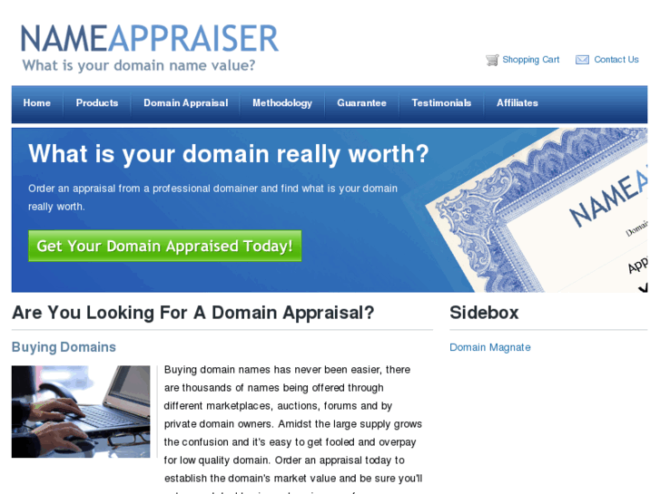 www.nameappraiser.com