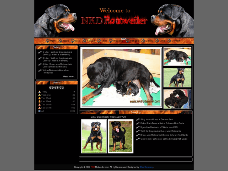 www.nkdrottweiler.com