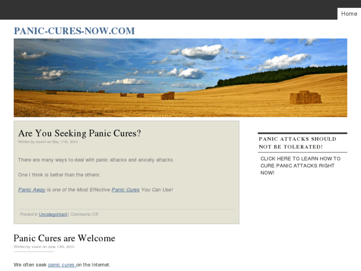 www.panic-cures-now.com
