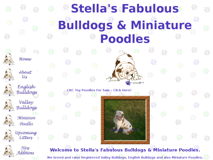 www.stellabulldogges.com