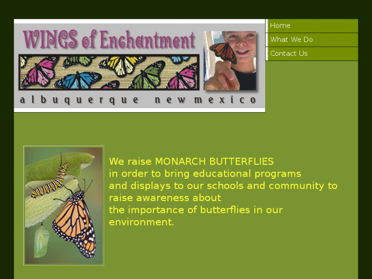 www.wingsofenchantment.com