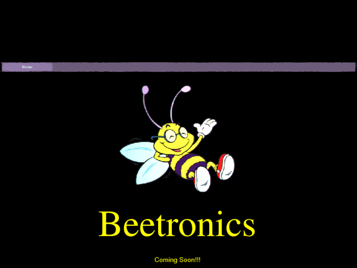 www.beetronics.net