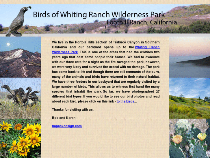 www.birdsofwhitingranch.com