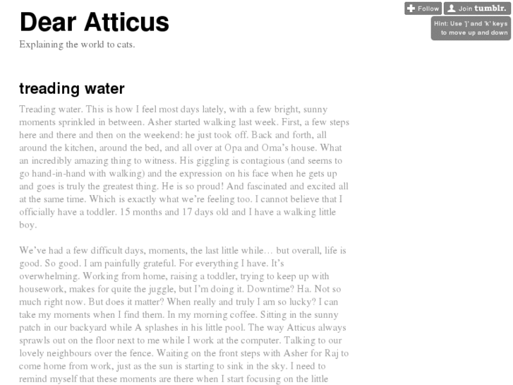 www.dearatticus.com