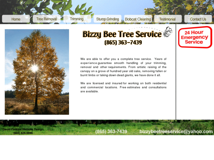 www.bizzybeetreeservice.com