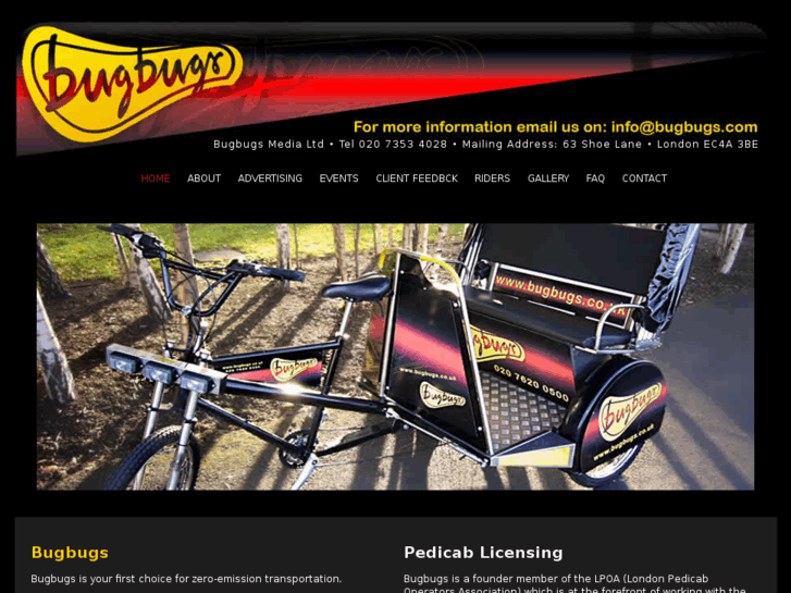 www.bugbugs.com