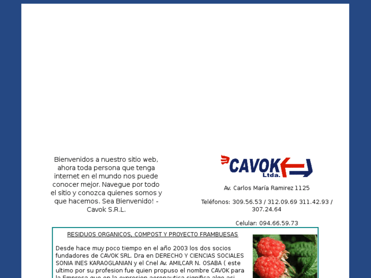 www.cavoksrl.com