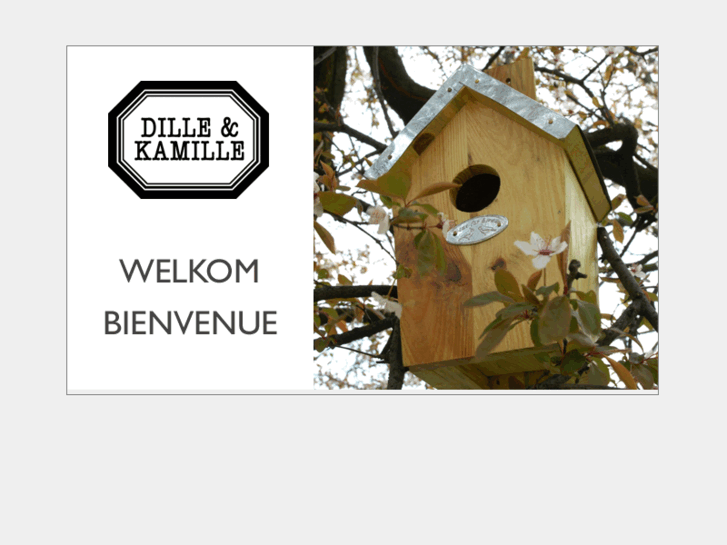 www.dillekamille.com