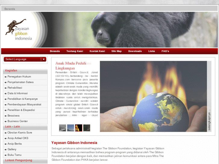 www.gibbon-indonesia.org