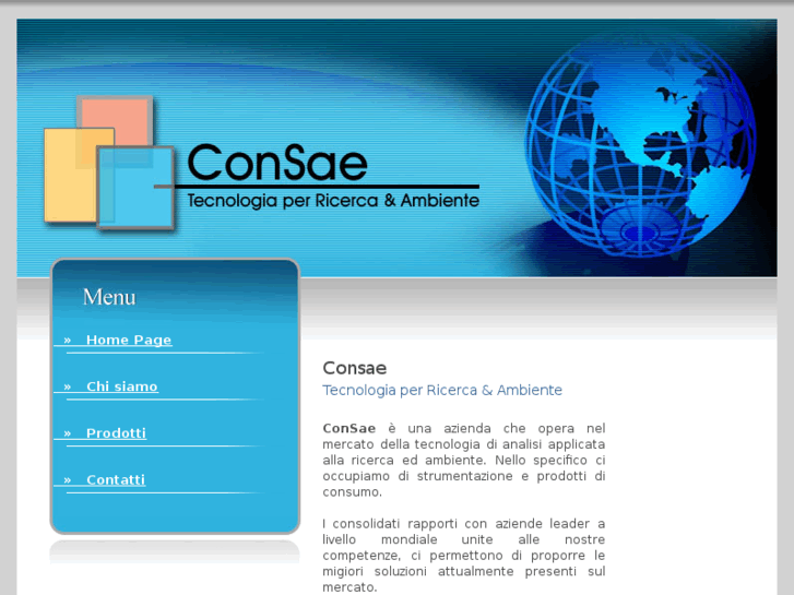 www.consae.com