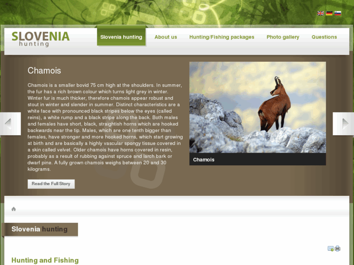 www.slovenia-hunting.com